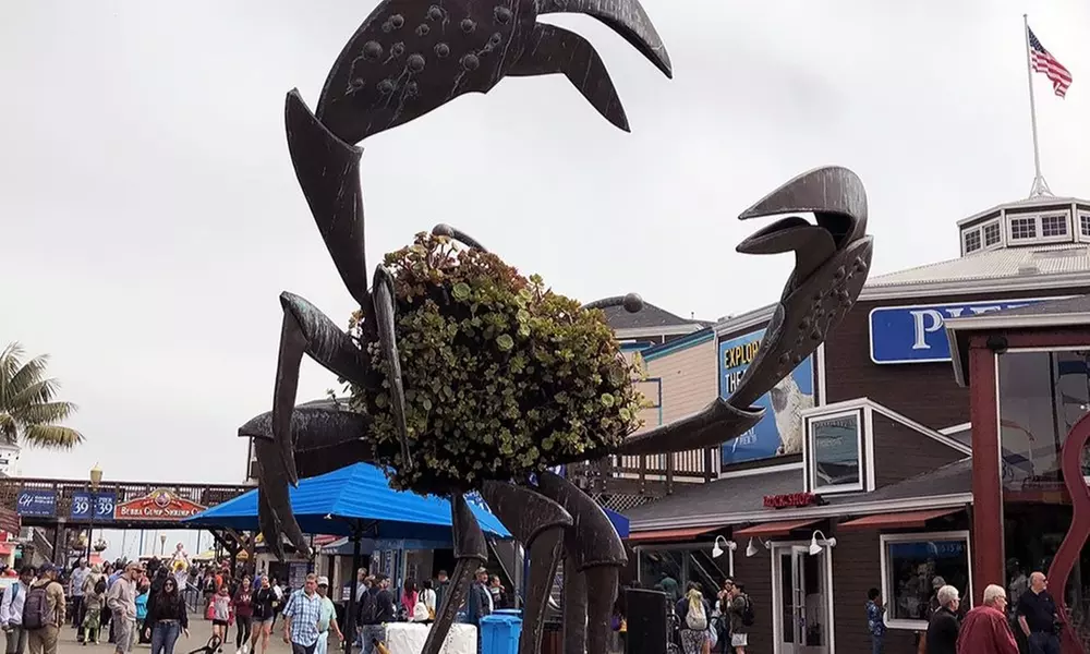 Guided Fisherman’s Wharf & Alcatraz Walking Tour