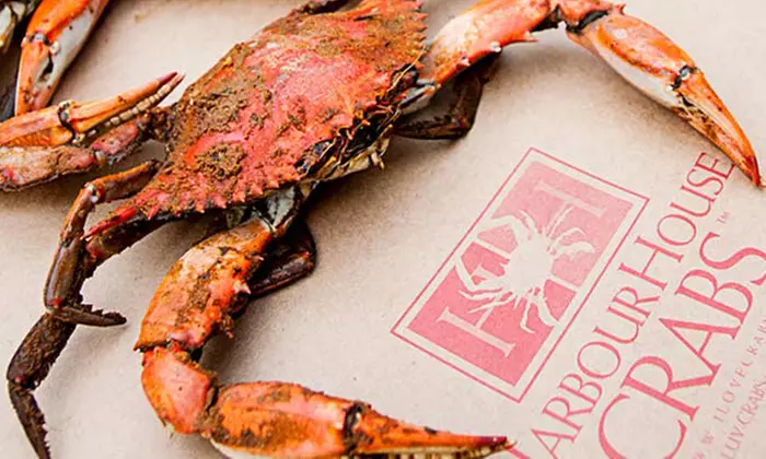 $25 for $50 or $45 for $80 Worth of Maryland Blue Crabs, Shrimp, and Premium Seafood from Harbour House Crabs  - Primary Image
