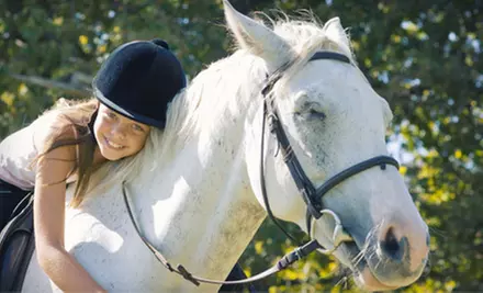 $299 for One Week of Summer Horseback-Riding Camp at Baymar Farms ($475 Value) - Primary Image