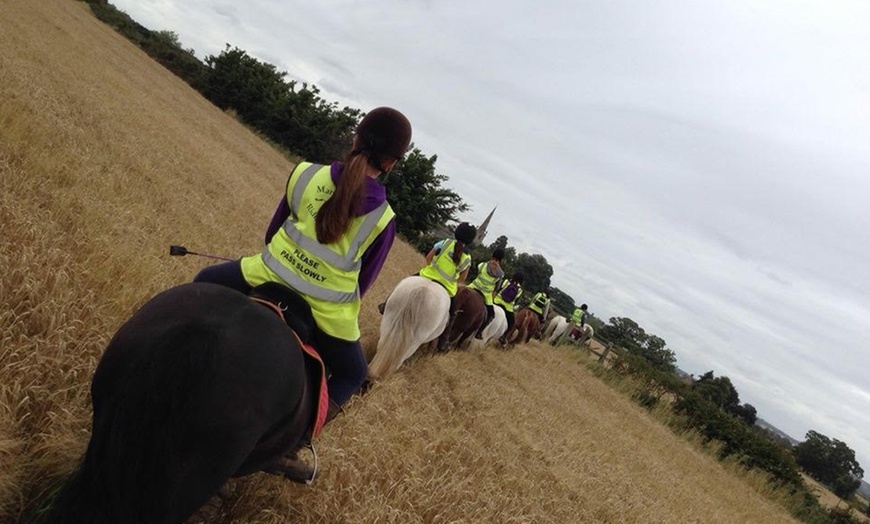 Image 4: Two-Hour Horse Riding Experience