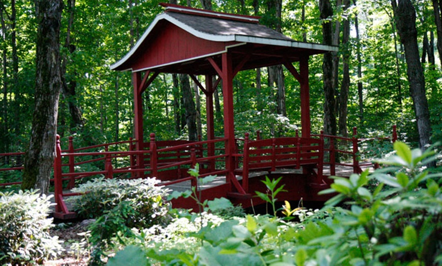 Image 8: Tour of the Gardens