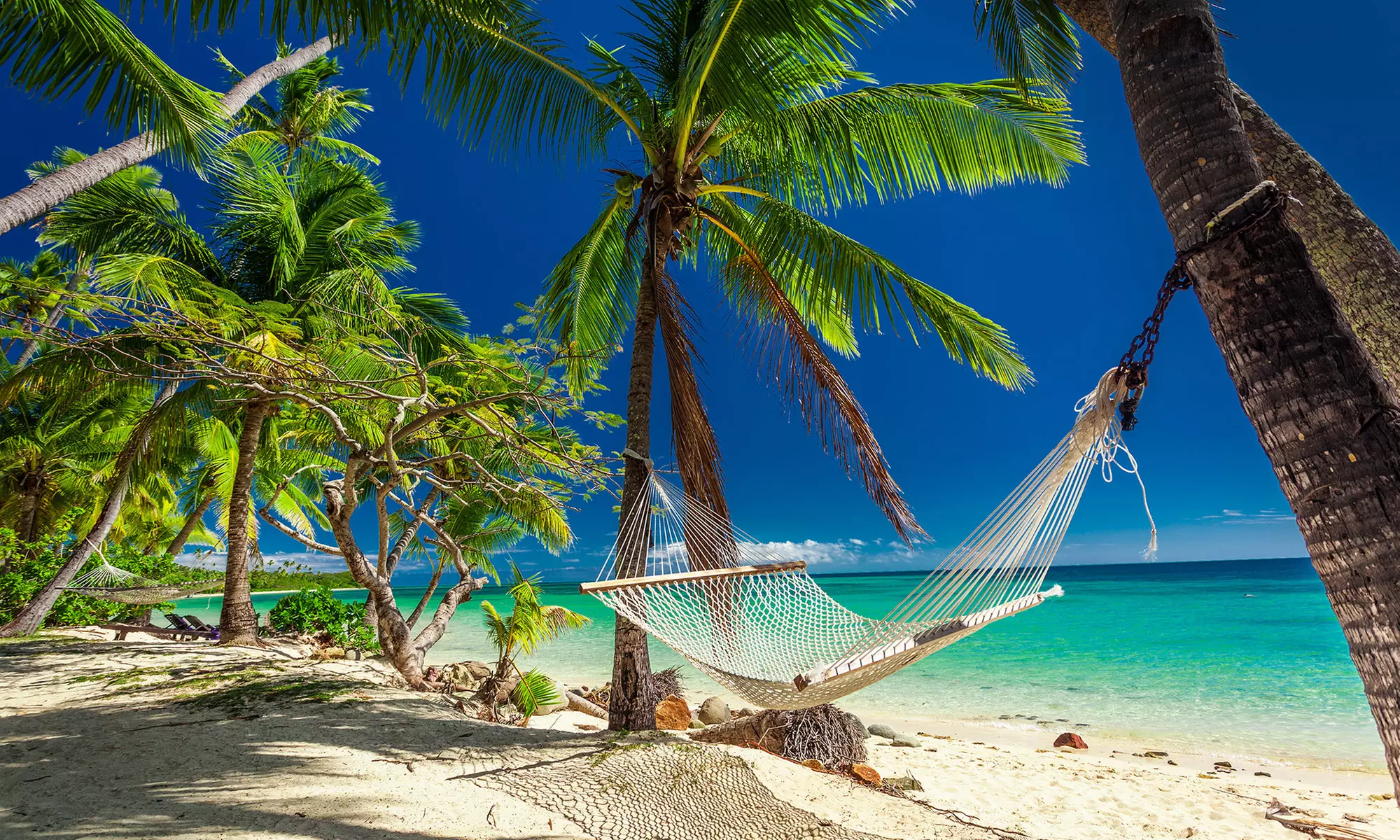 Fiji Vacation. Price is per Person, Based on Two Guests per Room. Buy One Voucher per Person. - Primary Image