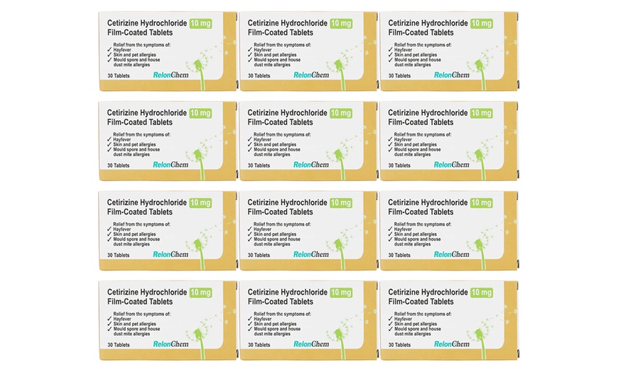 Image 1: Hayfever 12 Packs of Cetirizine Hydrochloride (12months Supply)