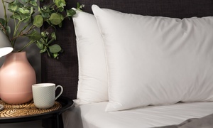 Two or Four Sumptuously Full Medium Support Pillows 