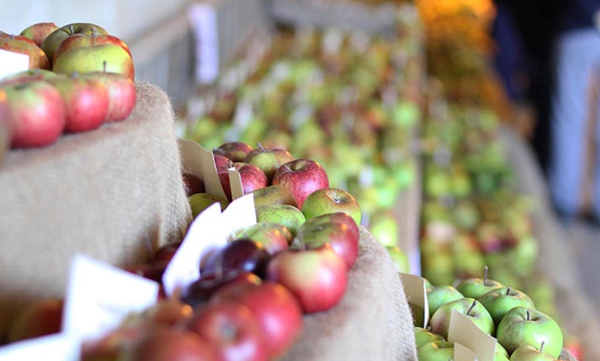 Image 1: Brogdale Apple Festival For Two