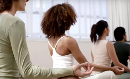 12 Yoga Classes or One Month of Unlimited Classes at Serona Centre for Integrative Medicine and Yoga (Up to 71% Off) - Primary Image