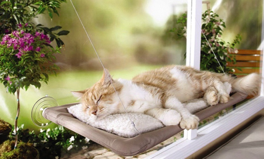 Image 1: Cat Sunshine Window Bed