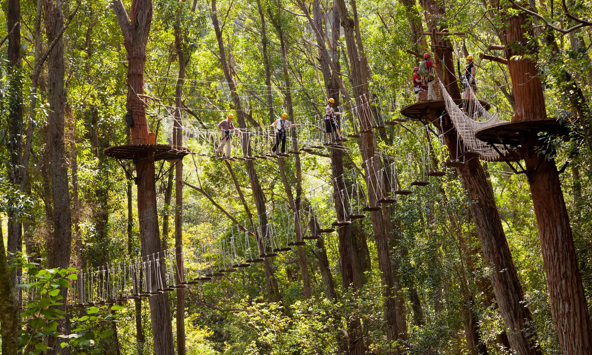  Kohala Zip Line Canopy Adventure with Photo Package at Kohala Zipline (Up to 36% Off)  - Primary Image