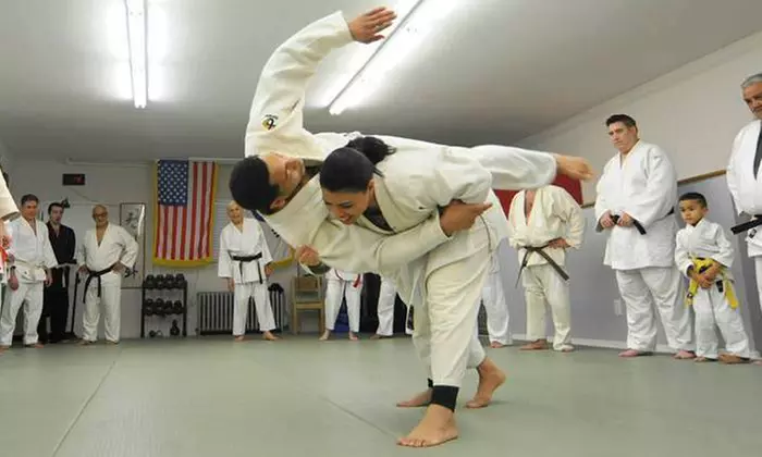 $26 for $105 Worth of Martial-Arts Lessons — Bronx Judo and Martial Arts - Primary Image