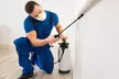 Reliable Pest and Cleaning Services Offers Complete Pest/Rat Control for Single Storey Houses, Up to 55% off - Image 2