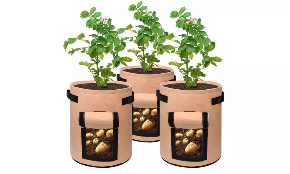 Fino a 4 sacchi per piantare patate