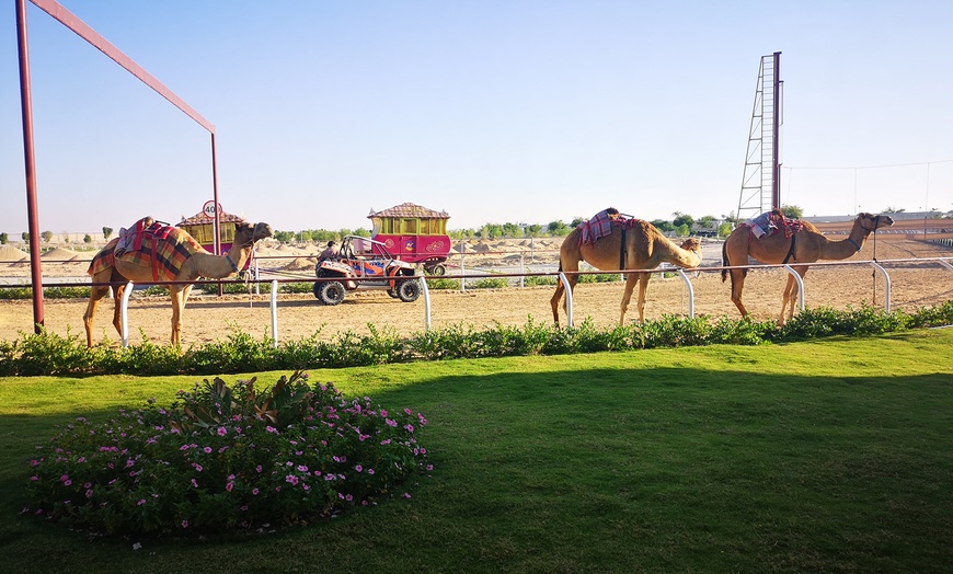 Image 6: Meal and Camel Racing