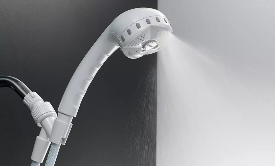 Pollenex 4-Setting Handheld Showerhead. Free Returns. - Primary Image