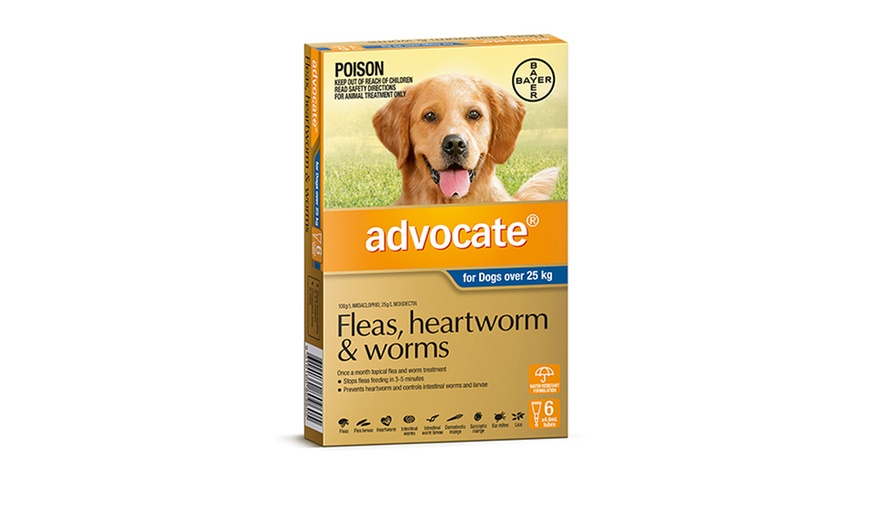 Image 3: Advocate 6-Pack Flea Treatment