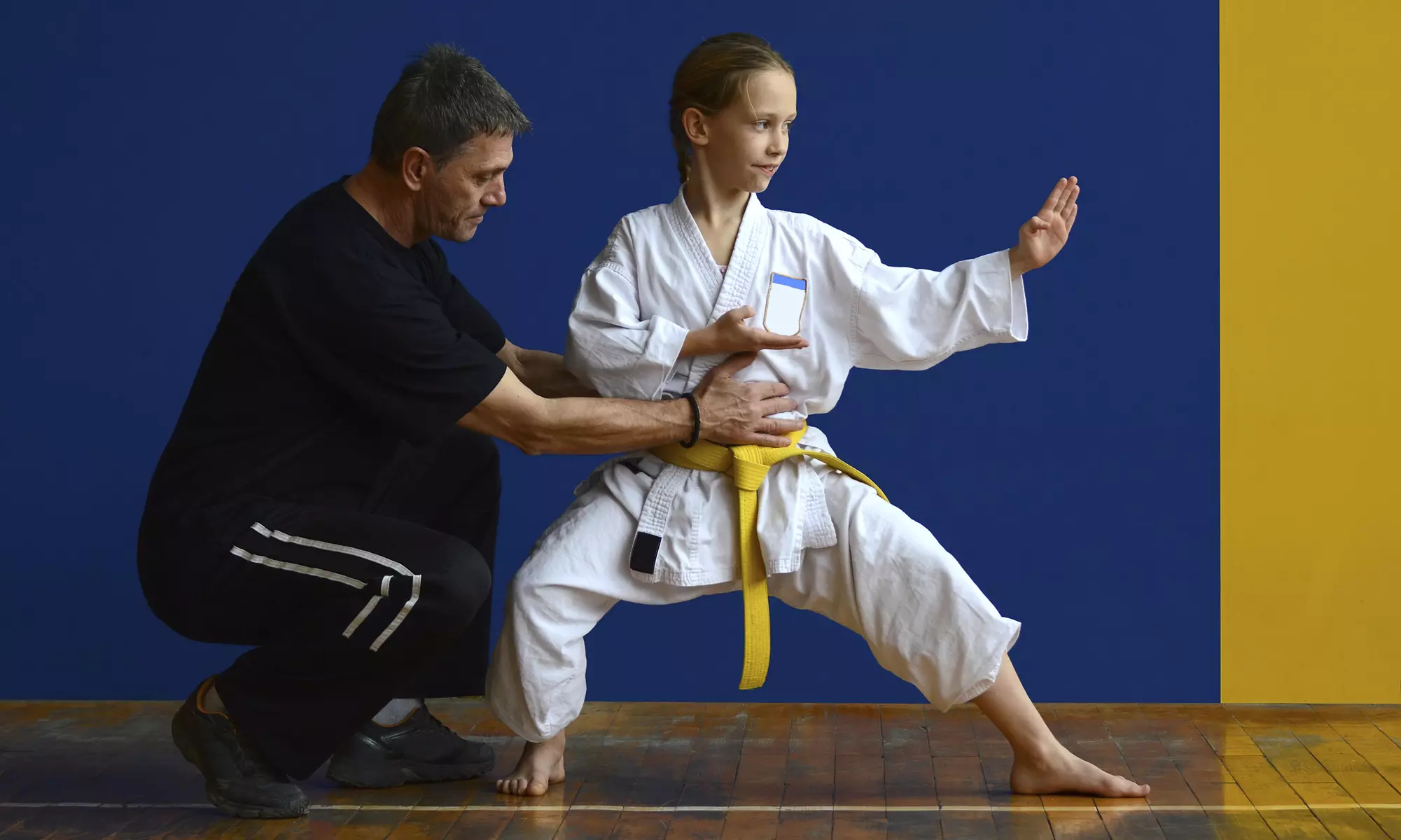 $54 for $99 Worth of Martial-Arts Lessons — Myofu An Dojo - Primary Image