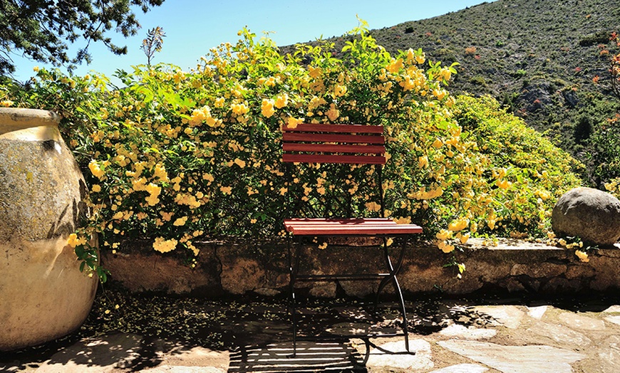 Image 13: Visite du Château de Castelnou