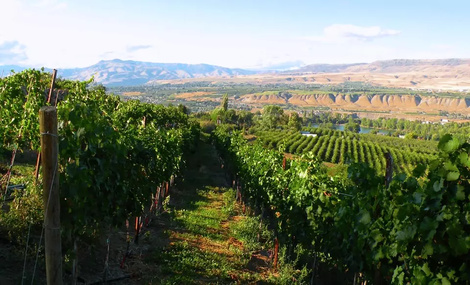1- or 2-Night Stay for Two with Food-and-Wine Package at the Coast Wenatchee Center Hotel in Wenatchee, WA - Primary Image