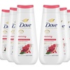 Image 3: Six Packs of Dove Advanced Care Bodywash 24-Hour Collections 225ml