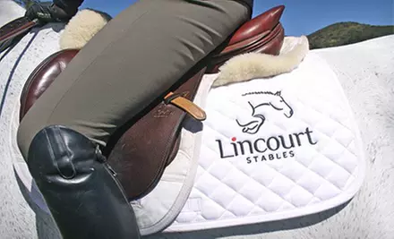One, Three, or Five Private English-Style Saddling and Horseback-Riding Lessons at Lincourt Stables (Up to 59% Off) - Second Medium