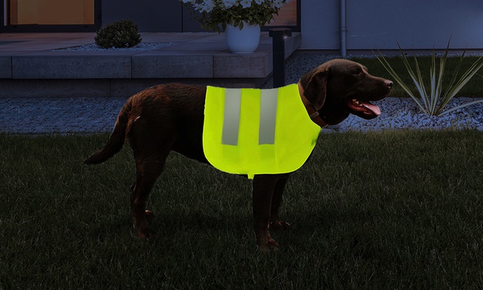 Jusquà 42 Gilet Jaune Pour Chiens De Cruft Groupon