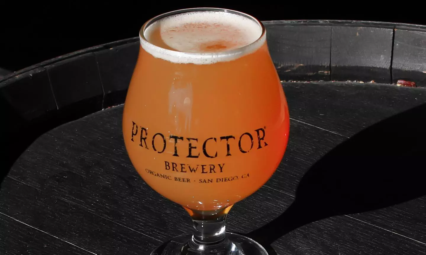 One Pint and To- Go 4 Pack or 2 Pints and To-Go 4 Pack at Craft Beer at Protector Brewery ( Up to 35% Off) - Second Medium