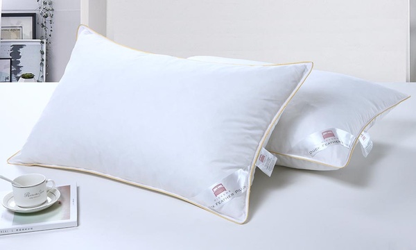 Dickens duck feather store pillows