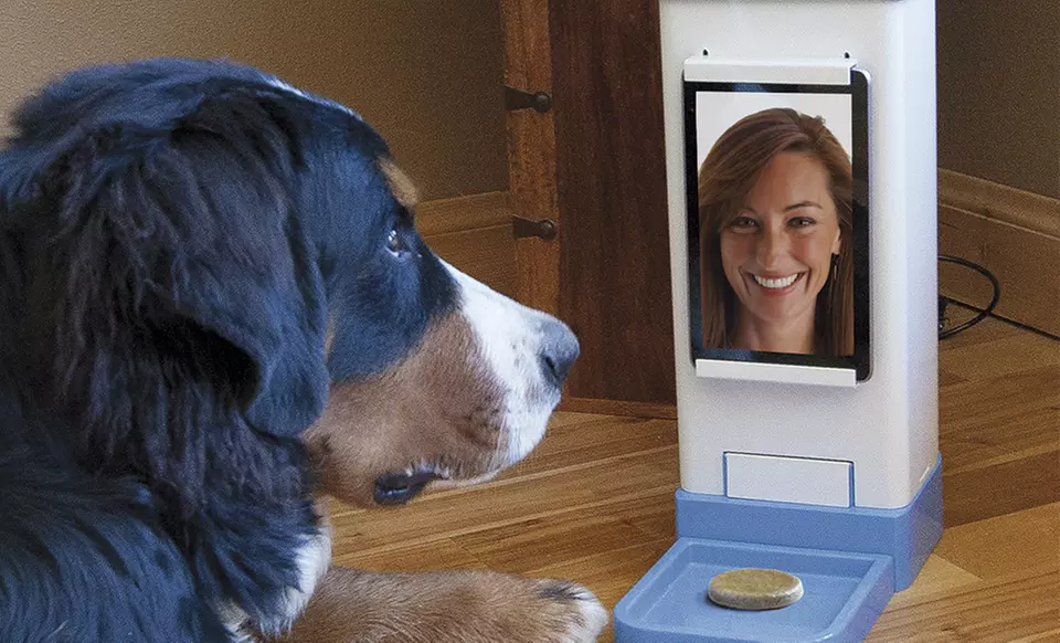 iCPooch Internet Pet Treat Dispenser - Primary Image