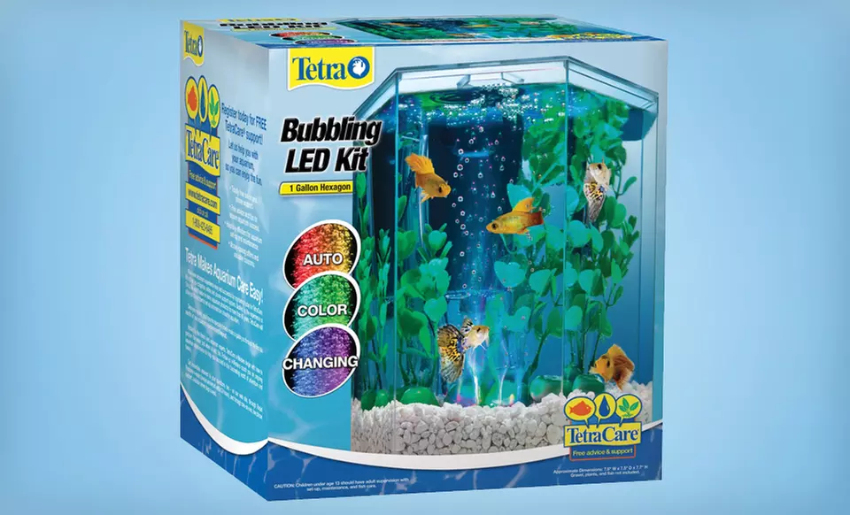 Tetra 1-Gallon Bubbling LED Desktop Aquarium Kit. Free Shipping and Returns. - Second Medium