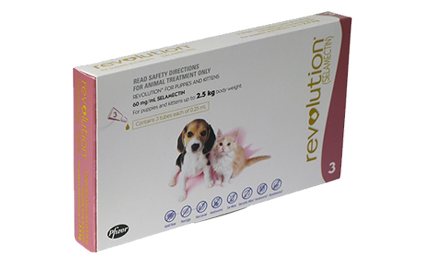 Image 7: Revolution® Flea Treatment 