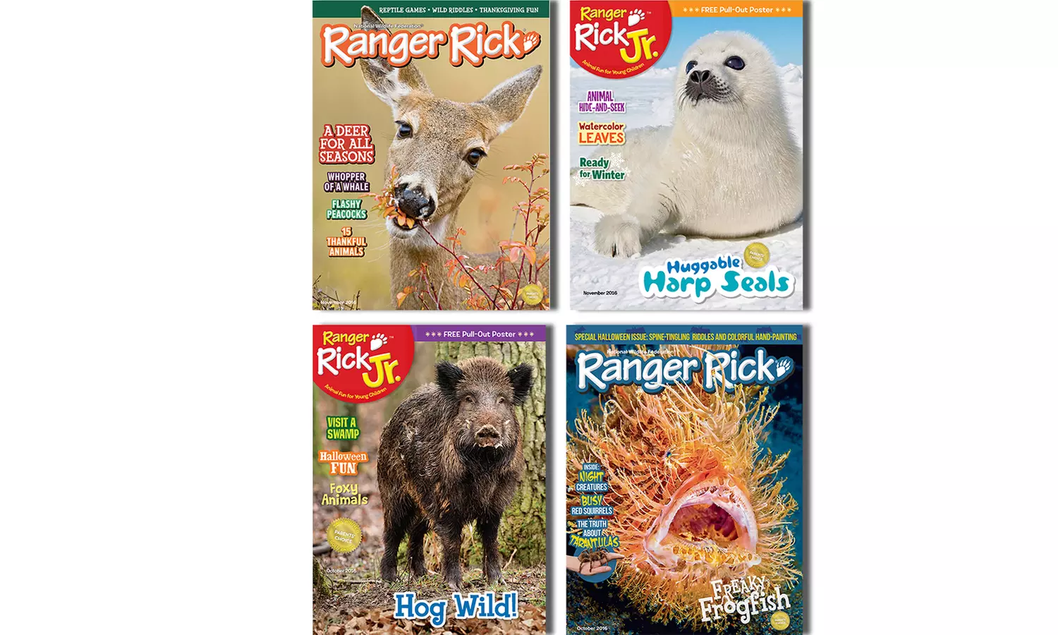 1-Year Subscription to Ranger Rick or Ranger Rick Jr. Magazines (10 Issues) (Up to 60% Off) - Primary Image