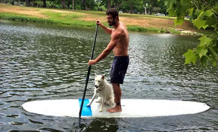 One or Two Hours of Paddleboard or Kayak Rental from Go Paddle Down (Half Off) - Primary Image