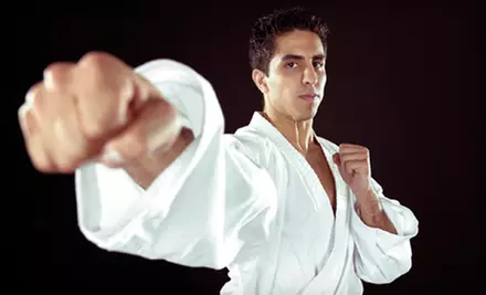 5 or 10 Martial Arts, Wrestling, or Yoga Classes at Posener's Pankration/Kel Lee's Academy of Martial Arts (Up to 82% Off) - Primary Image