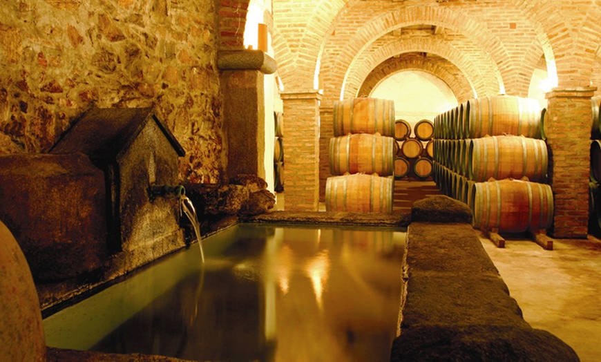 Image 8: Visita a bodega con cata de vinos 