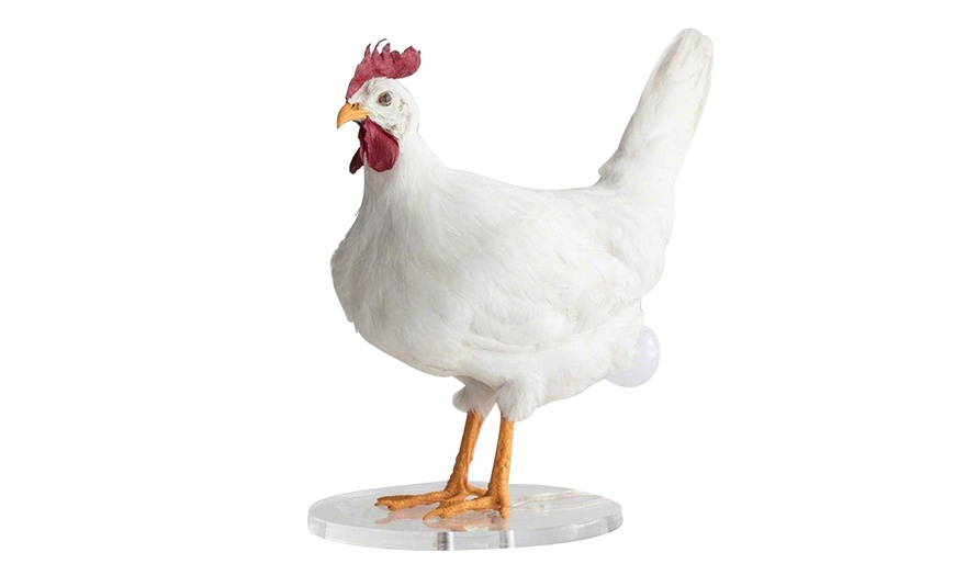 Image 5: USB Realistic Chicken Lamp