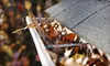 Gutter Cleaning for up to 2,000, 3,000, or 4,000 Square Foot Home from Kulick Roofing, Inc (Up to 60% Off)