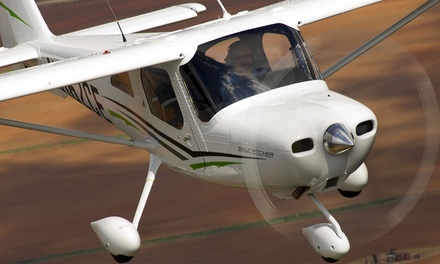 Flight - Flight Training Professionals | Groupon