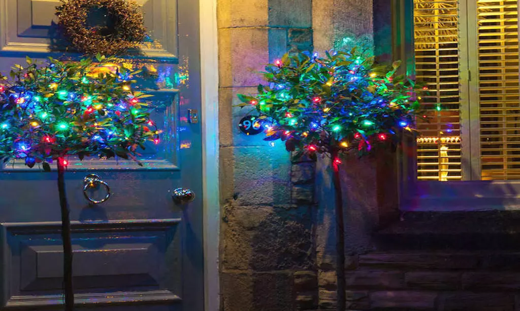 150-Count Solar LED Multicolor Net Lighting - Second Medium