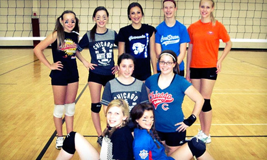 Dynamic Impact Volleyball Club in - Roselle, IL | Groupon