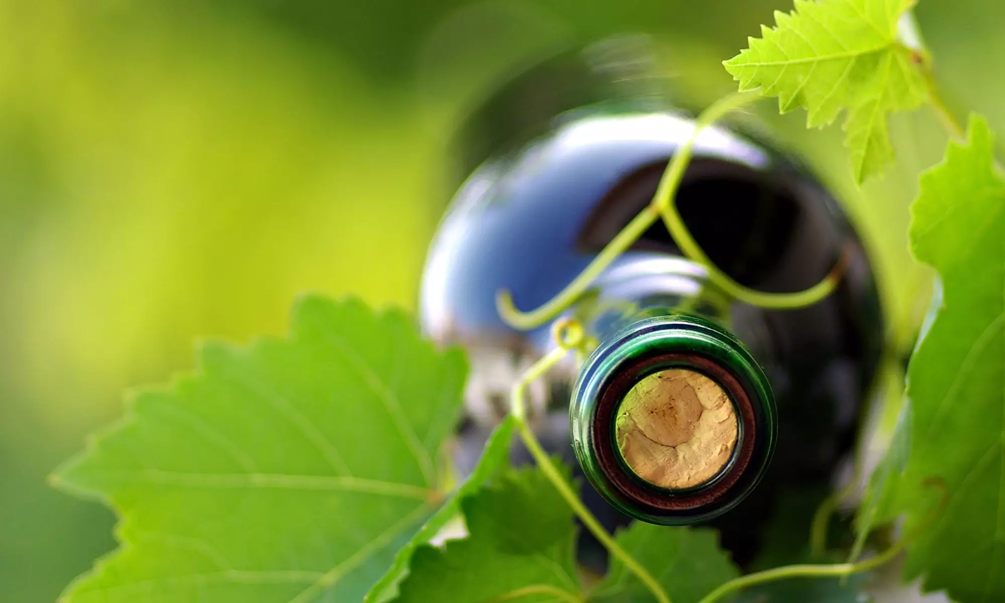 C$79 for a Premium Winemaking Experience at Sheppard Wine Works (C$135 Value) - Primary Image