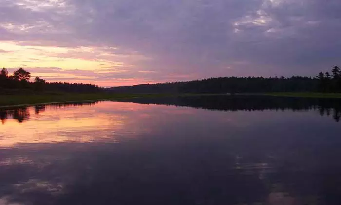 Three- or Four-Night Cabin Stay for Two with a Daily Boat Rental at Gold Mine Camp (52% Off) - Primary Image