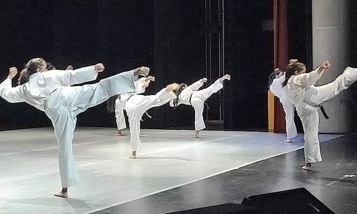Two Weeks or One Month of Unlimited Martial Arts Classes at Modified Karate Club (Up to 71% Off) - Primary Image