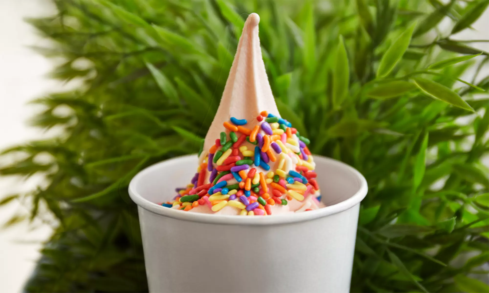 36-oz. Frozen Yogurt or Choice of Frozen Yogurt, Gelato, and Fruit Freezes on 12 Visits (Up to 44% Off) - Primary Image