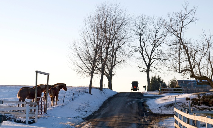 Premier Carriage House Cottages In Millersburg Oh Groupon