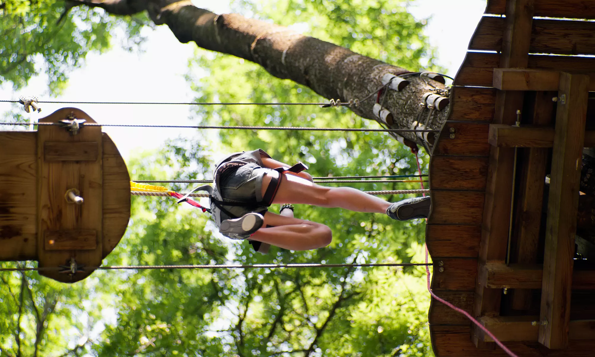 $39 for a Zipline Tour for One at Ocoee Zipz ($79 Value) - Primary Image