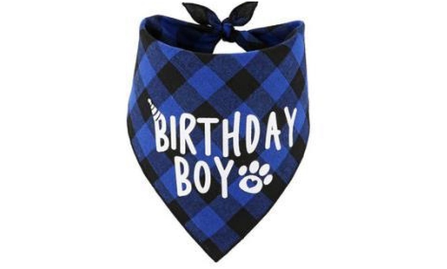 Image 9: Dog Birthday Bandana Scarf and Hat with Numbers