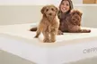 CopperFresh 3" Gel Memory Foam Mattress Topper - Second Medium