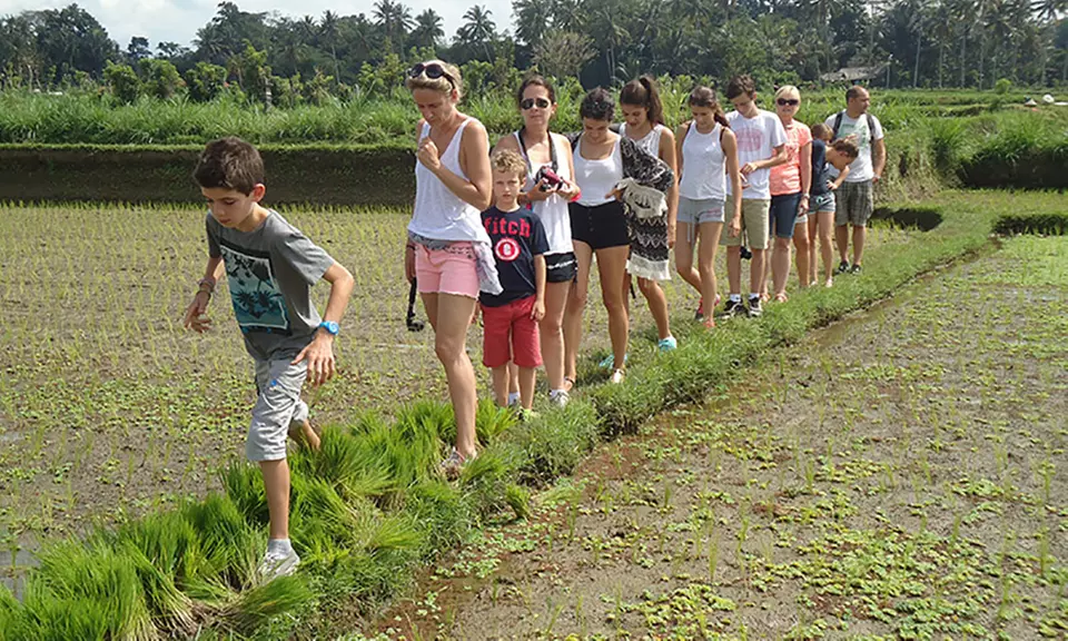 Bali: Cycle Day Tour