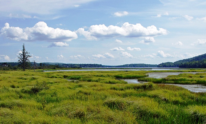 Marais du Nord Quebec Deal of the Day | Groupon Quebec