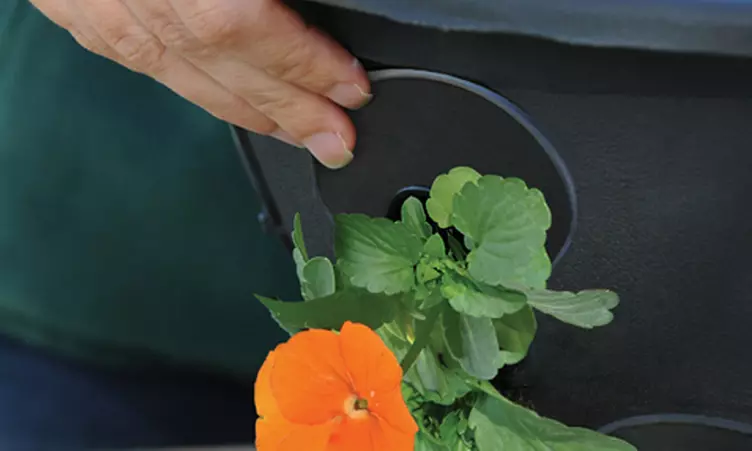 Garden Hanging Basket Collection