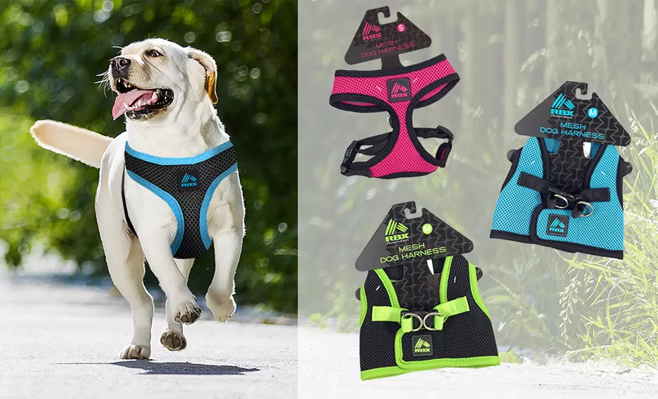 RBX Mesh Dog Harnesses in Standard or Full-Body Styles - Primary Image
